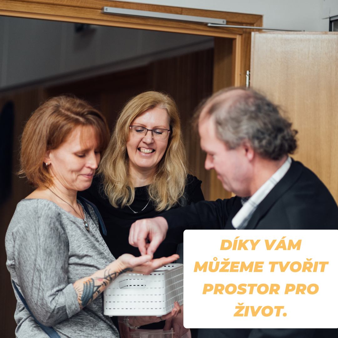 ilustrační obrázek